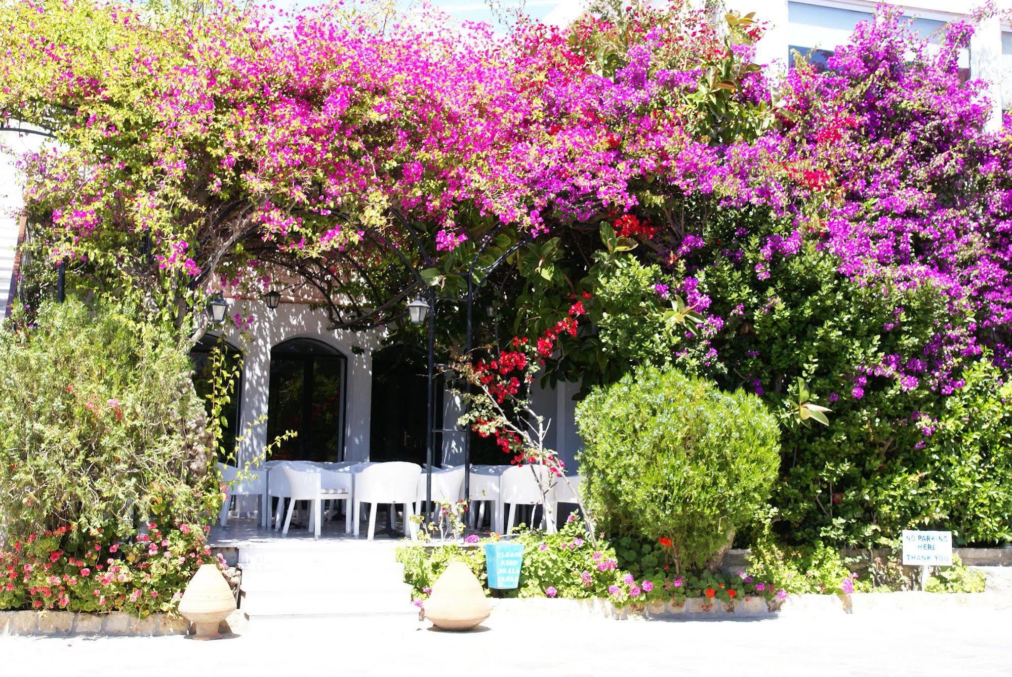 Skala Hotel Luaran gambar